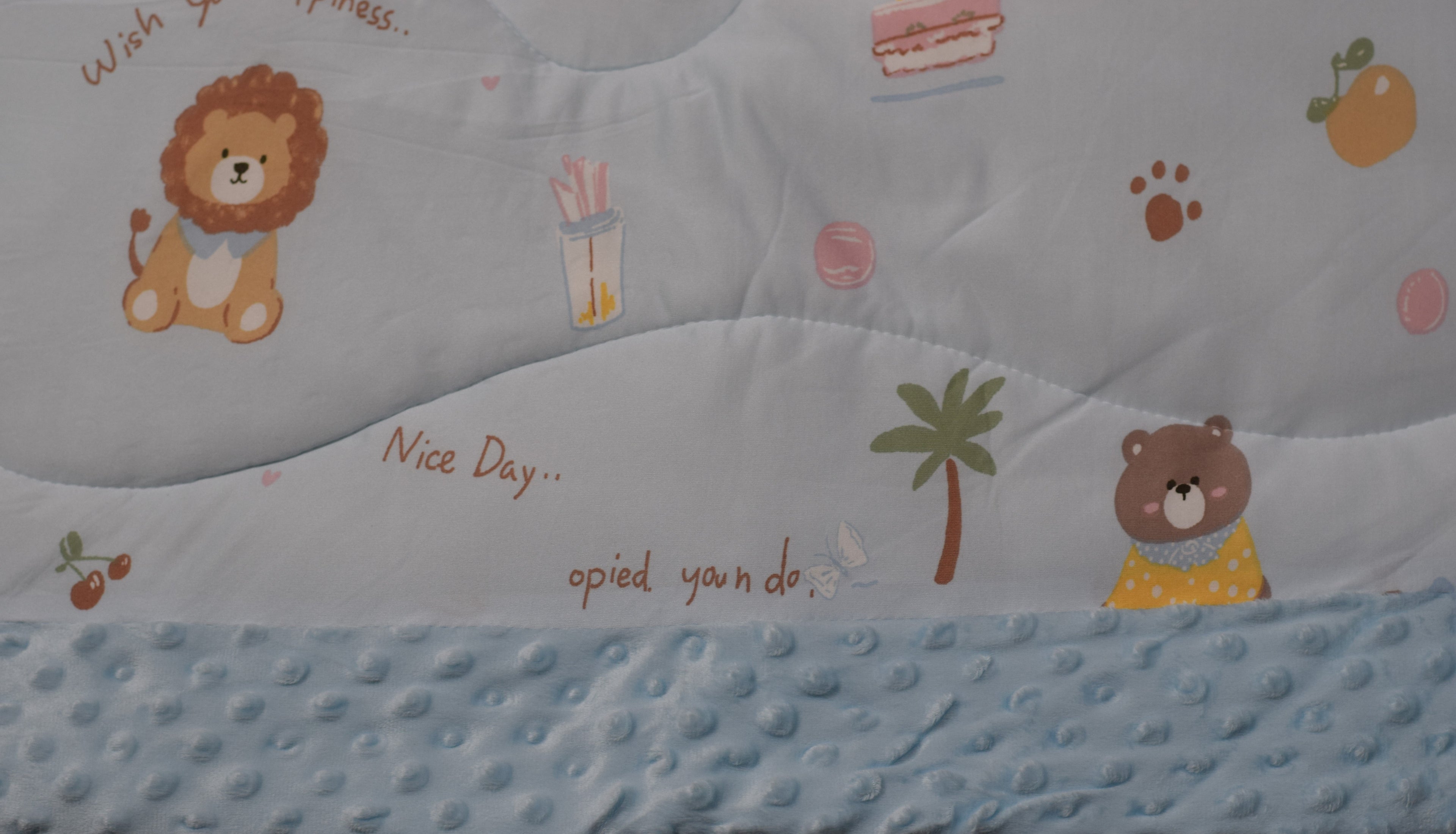 95 x 95 cm Ultra Soft Baby Minky Square Blanket – Plush Double Layer Receiving & Swaddle Blanket | Baby Blue Teddy Print